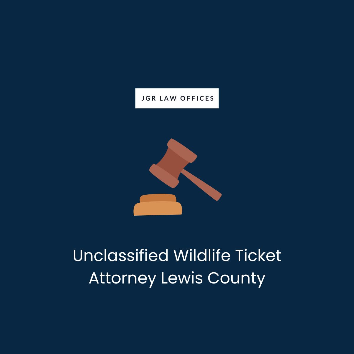 Unclassified Wildlife Ticket Attorney Lewis County